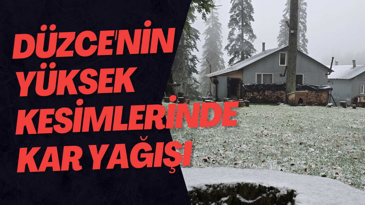 Düzce'nin Yüksek Kesimlerinde Kar Yağışı