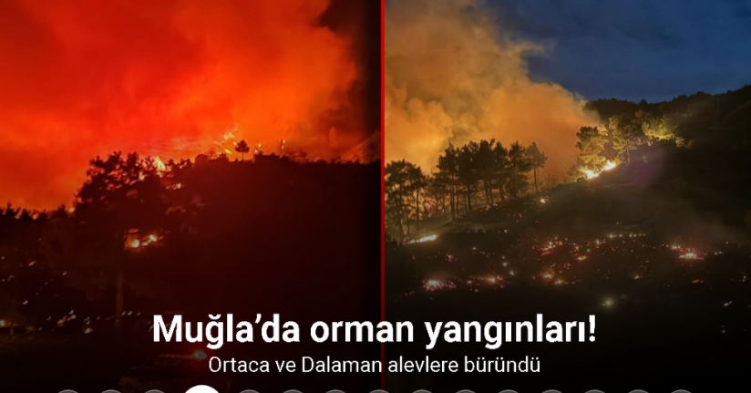 Muğla’da orman yangınları: Ortaca ve Dalaman alevlere büründü