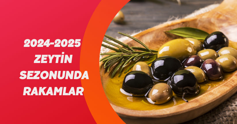 2024-2025 Zeytin Sezonunda Rakamlar