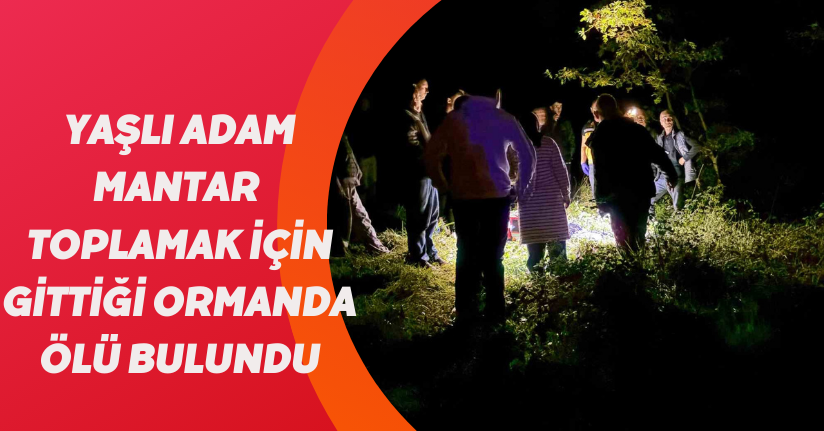 Yaşlı adam, mantar toplamak için gittiği ormanda ölü bulundu