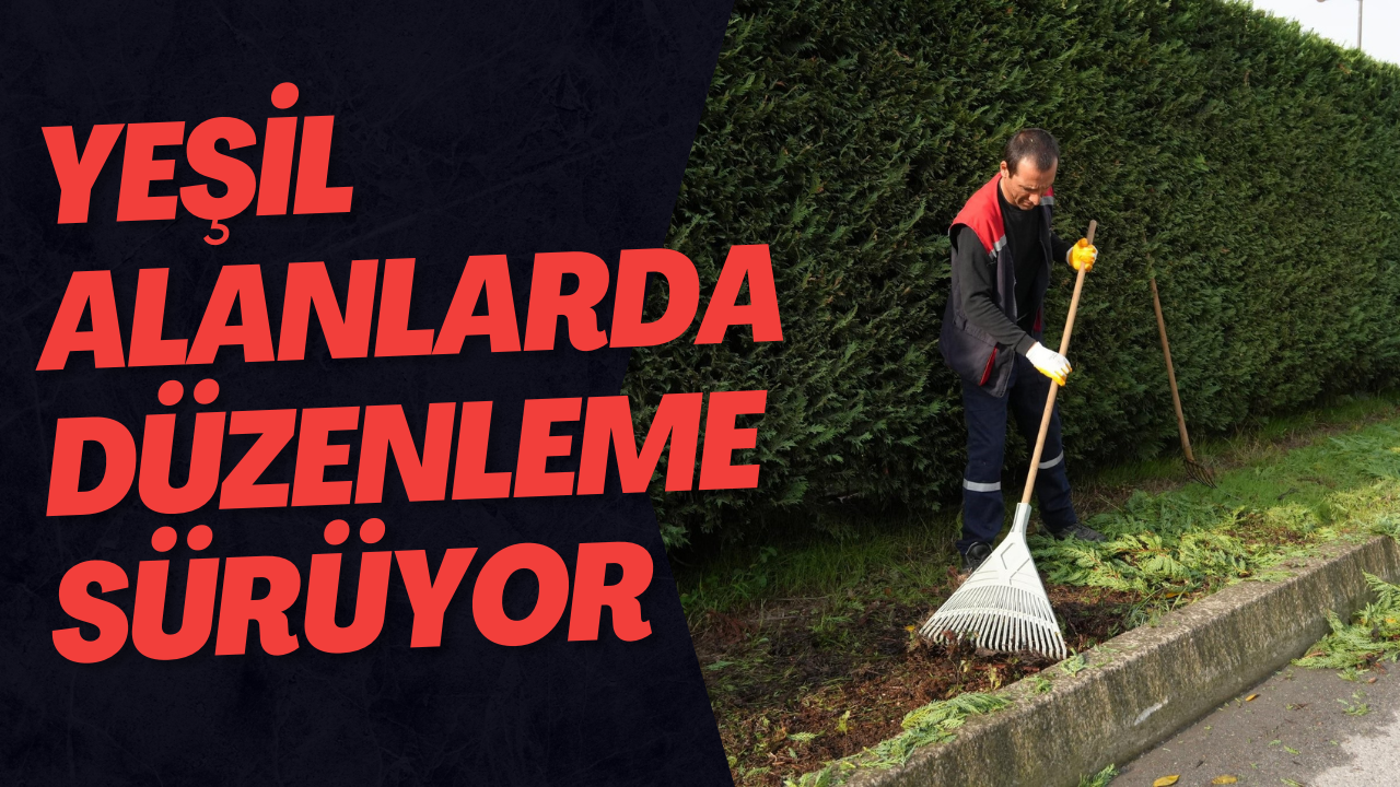 Yeşil Alanlarda Düzenleme Sürüyor