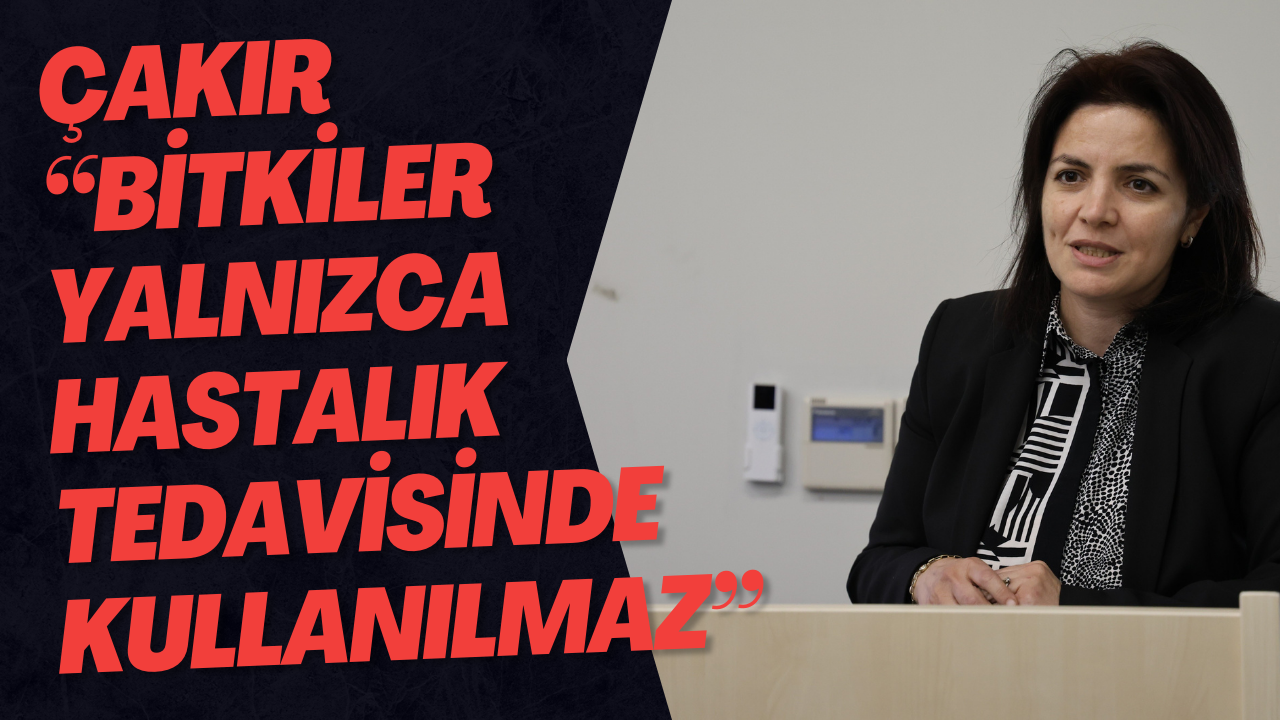 Çakır “Bitkiler Yalnızca Hastalık Tedavisinde Kullanılmaz”