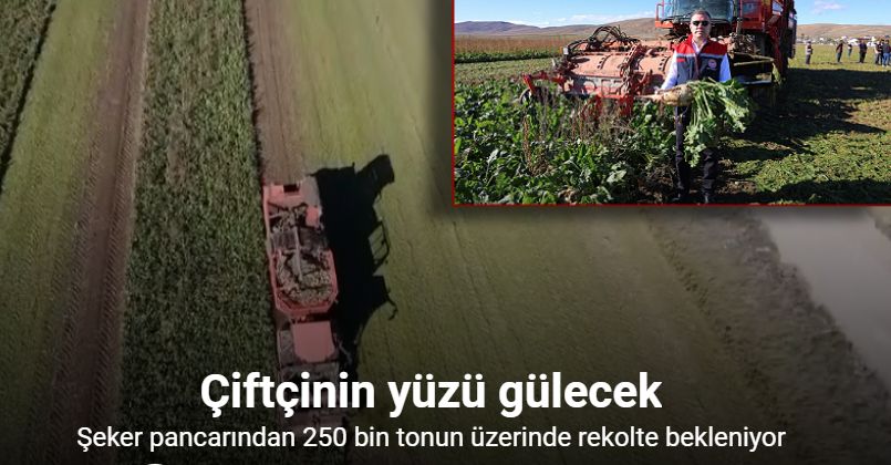 Bayburt’ta 50 bin dekar alanda üretimi yapılan şeker pancarından 250 bin tonun üzerinde rekolte bekleniyor