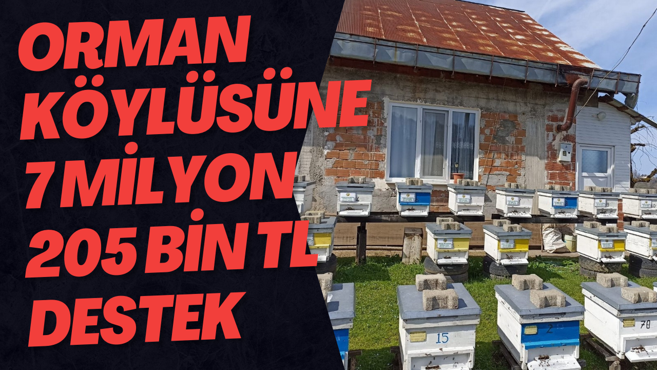 Orman Köylüsüne 7 Milyon 205 Bin TL Destek