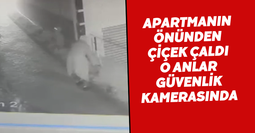 Apartmanın önünden çiçek çaldı; o anlar güvenlik kamerasında