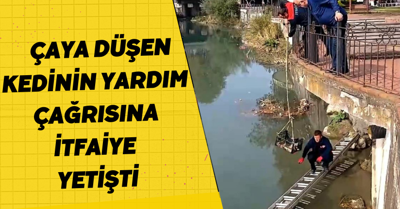 Çaya düşen kedinin yardım çağrısına itfaiye yetişti