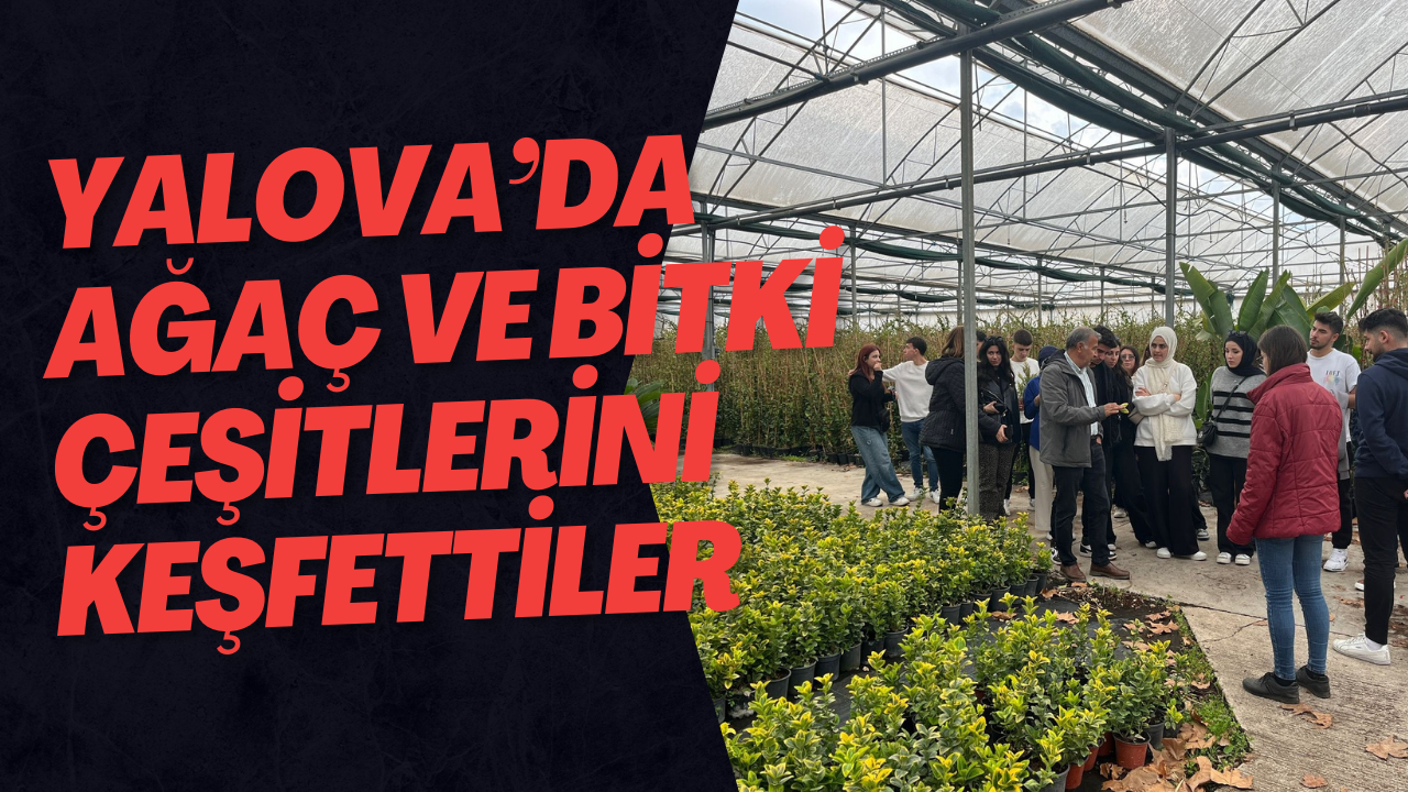 Yalova’da Ağaç ve Bitki Çeşitlerini Keşfettiler