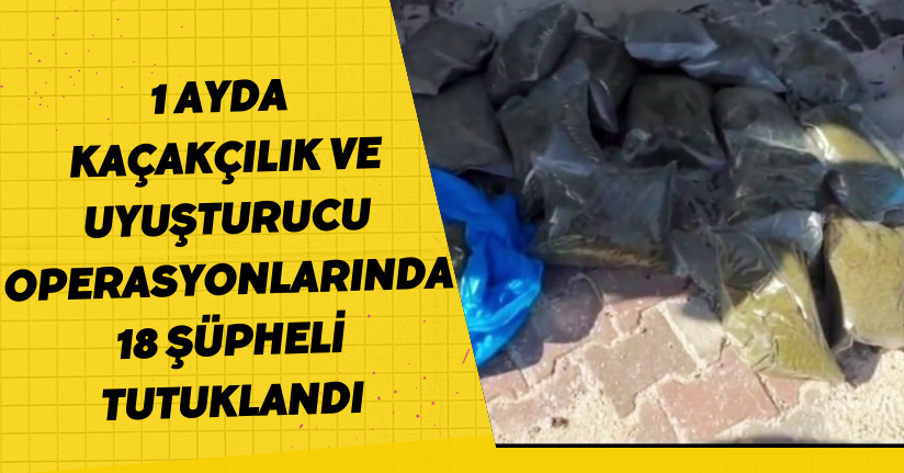 1 ayda kaçakçılık ve uyuşturucu operasyonlarında 18 şüpheli tutuklandı