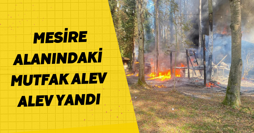 Mesire alanındaki mutfak alev alev yandı