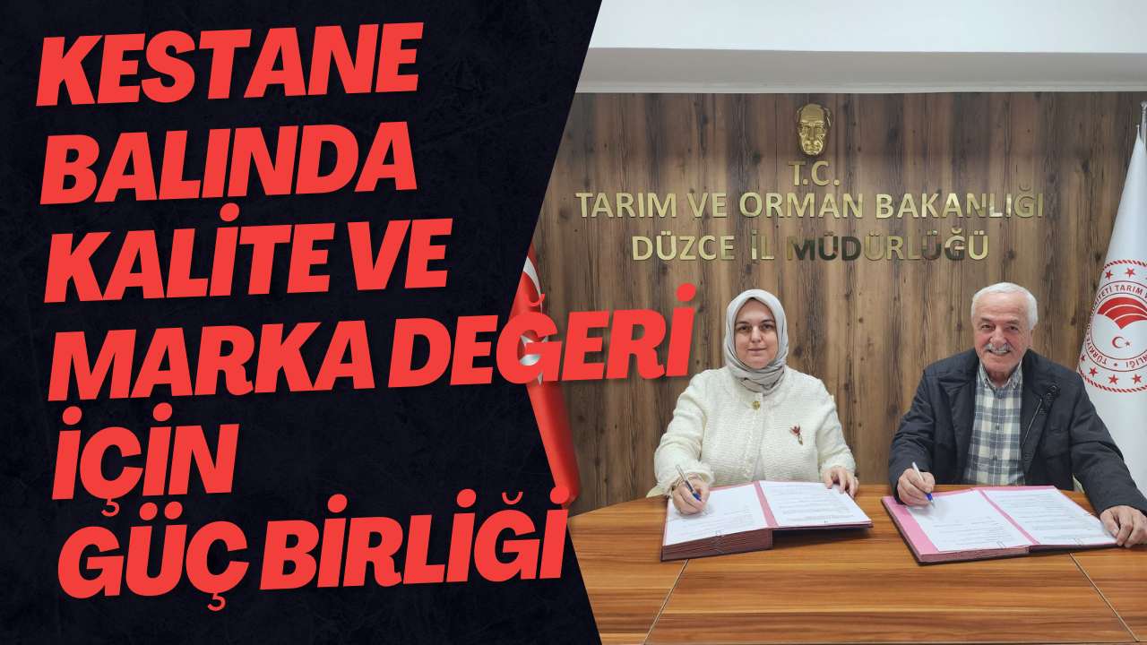 Düzce Kestane Balında Kalite Ve Marka Değeri İçin Güç Birliği