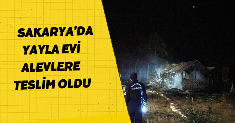  Sakarya’da yayla evi alevlere teslim oldu