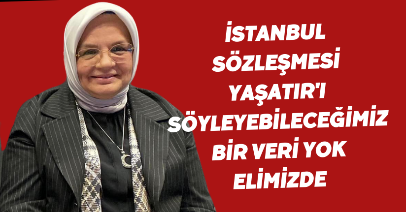 Keşir: 'İstanbul Sözleşmesi Yaşatır'ı Söyleyebileceğimiz Bir Veri Yok Elimizde”