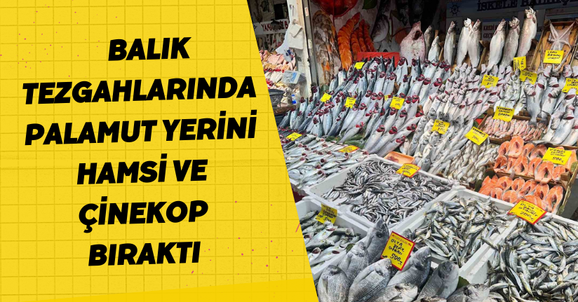 Balık tezgahlarında palamut yerini hamsi ve çinekop bıraktı