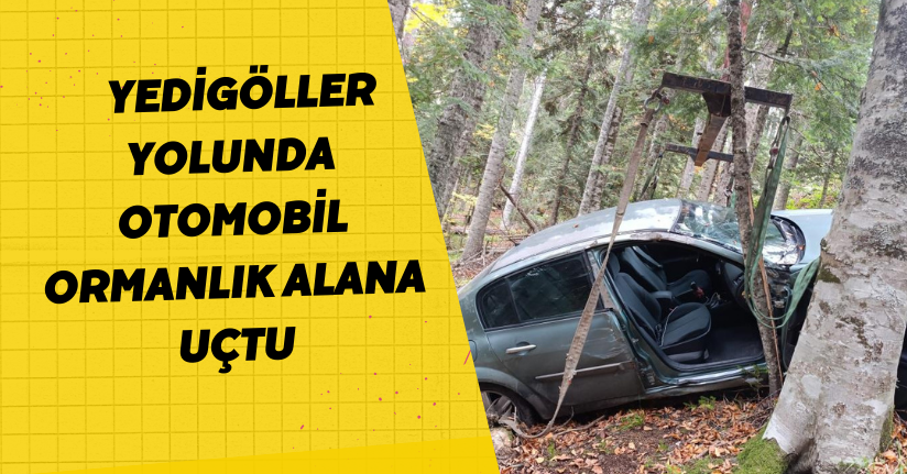  Yedigöller yolunda otomobil ormanlık alana uçtu