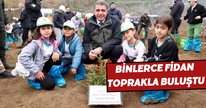  Binlerce fidan toprakla buluştu