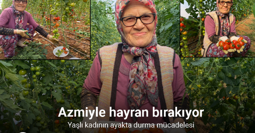 Kocası 5 çocuğuyla bırakıp kaçınca 46 sene ev temizledi, şimdi ise 75 yaşında serada çalışıyor