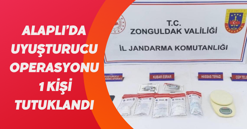 Alaplı’da uyuşturucu operasyonu, 1 kişi tutuklandı