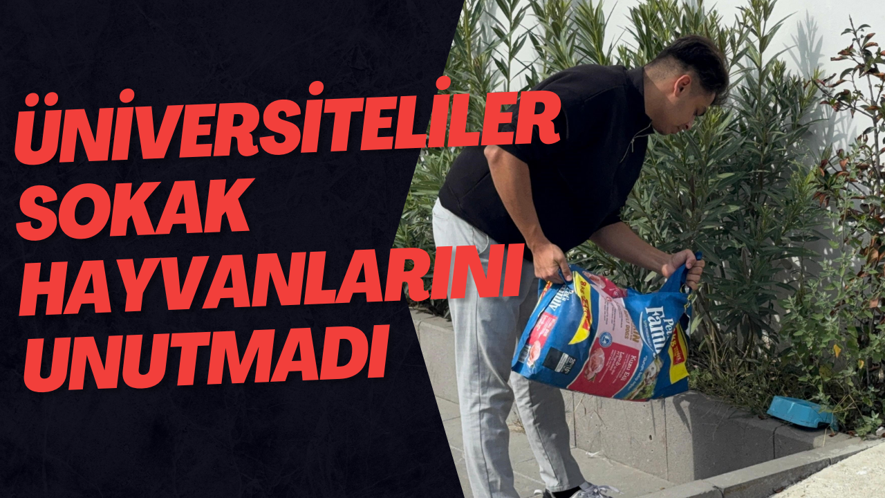 Üniversiteliler Sokak Hayvanlarını Unutmadı