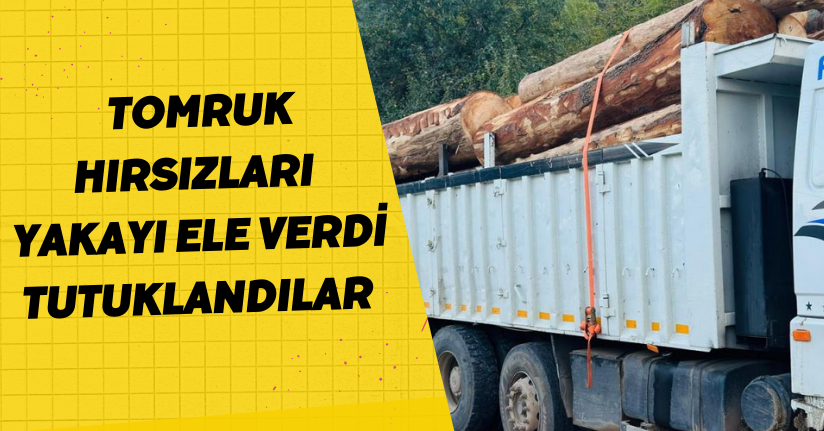 Tomruk hırsızları yakayı ele verdi: Tutuklandılar