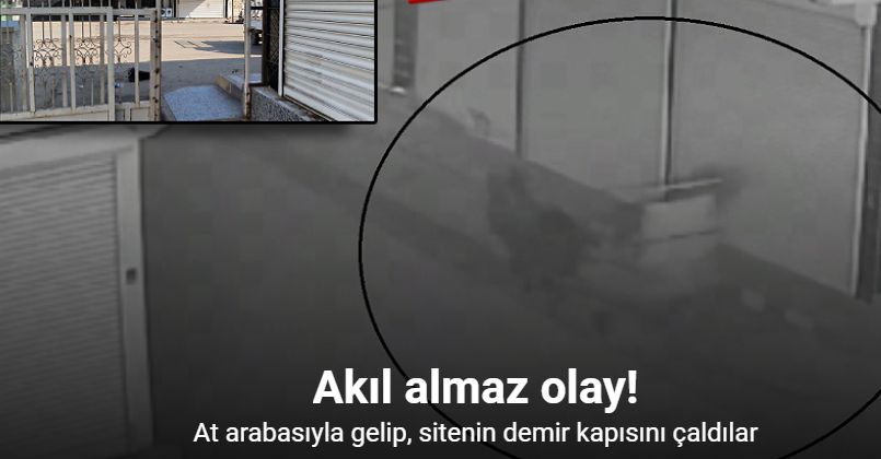 Akıl almaz olay; at arabasıyla gelip, sitenin demir kapısını çaldılar o anlar kamerada