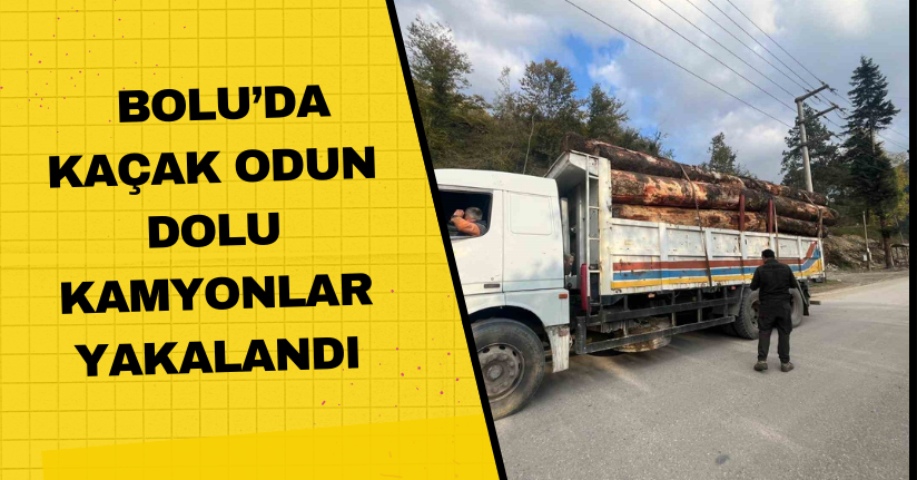 Bolu’da kaçak odun dolu kamyonlar yakalandı