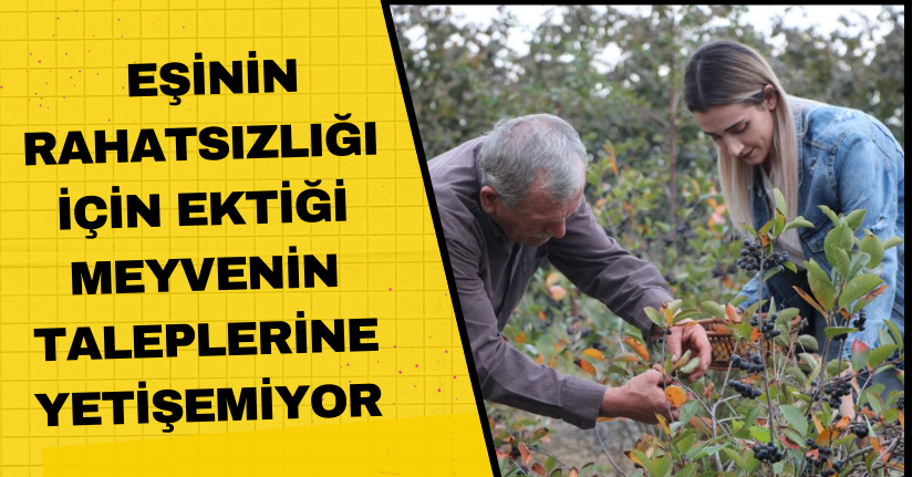 Eşinin rahatsızlığı için ektiği meyvenin taleplerine yetişemiyor