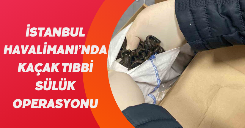 İstanbul Havalimanı’nda kaçak tıbbi sülük operasyonu