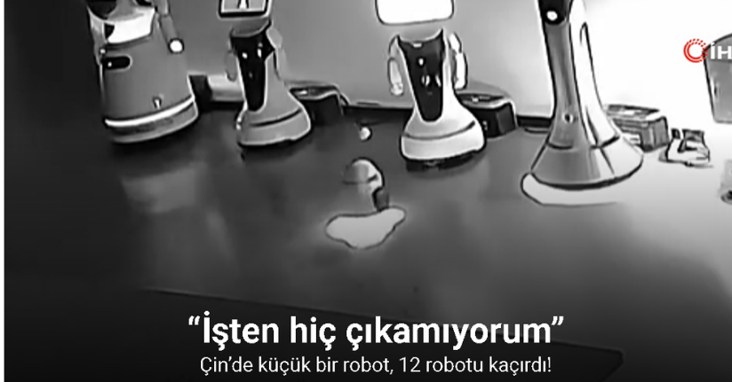 Çin’de küçük bir robot, 12 robotu kaçırdı