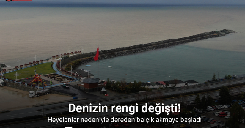 Rize’de yoğun yağışın ardından derelerin getirdiği çamur denizin rengini değiştirdi