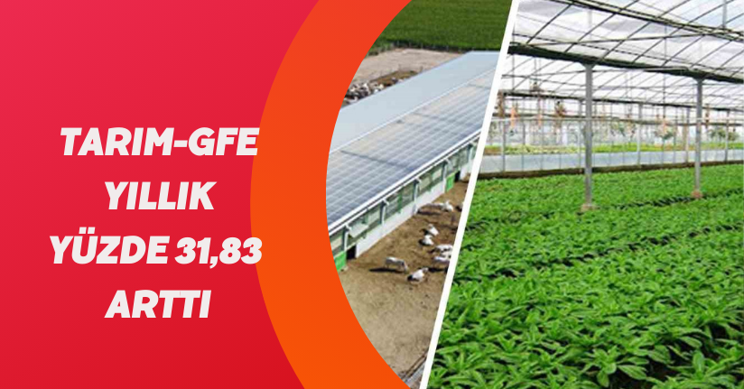 Tarım-GFE yıllık yüzde 31,83 arttı