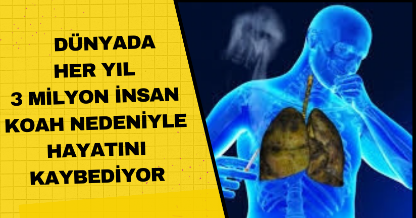  Dünyada her yıl 3 milyon insan KOAH nedeniyle hayatını kaybediyor