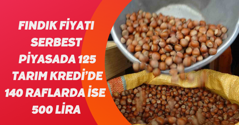 Fındık fiyatı serbest piyasada 125, Tarım Kredi’de 140, raflarda ise 500 lira