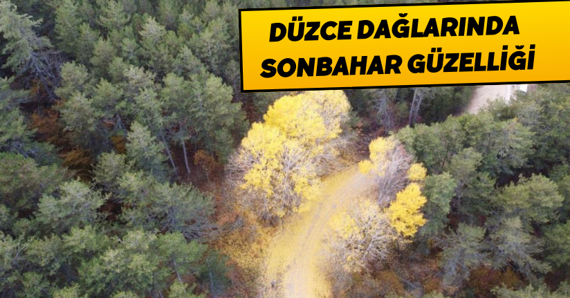 Düzce dağlarında kış öncesi sonbahar güzelliği