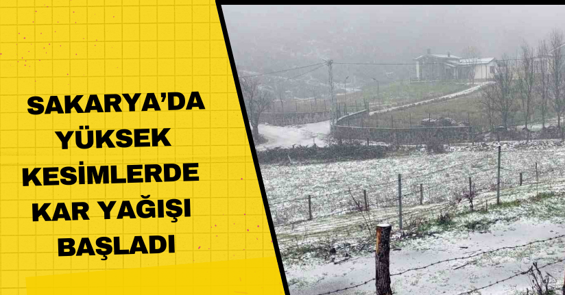 Sakarya’da yüksek kesimlerde kar yağışı başladı