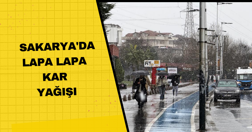 Sakarya'da lapa lapa kar yağışı