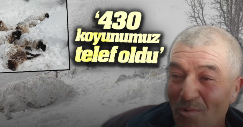 Kurtarılan çoban yaşananları anlattı: 