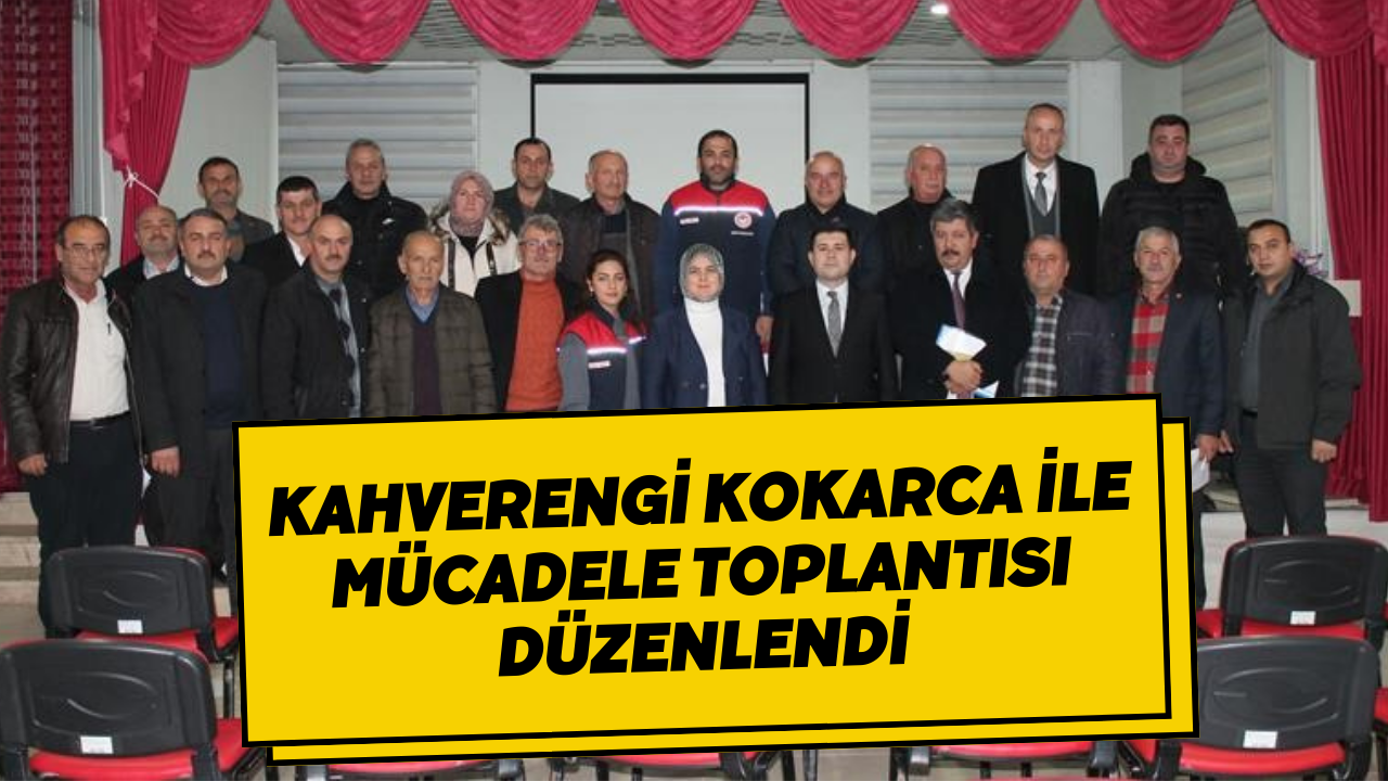 Kahverengi Kokarca İle Mücadele Toplantısı Düzenlendi