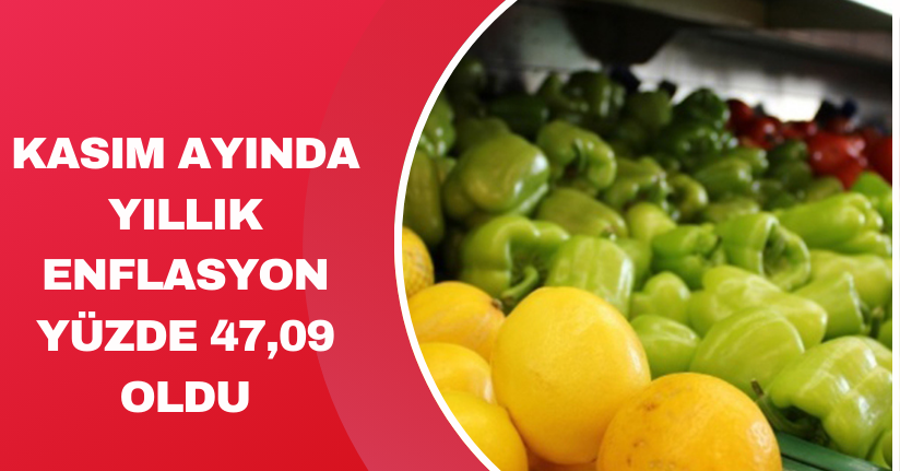 Kasım ayında yıllık enflasyon yüzde 47,09 oldu