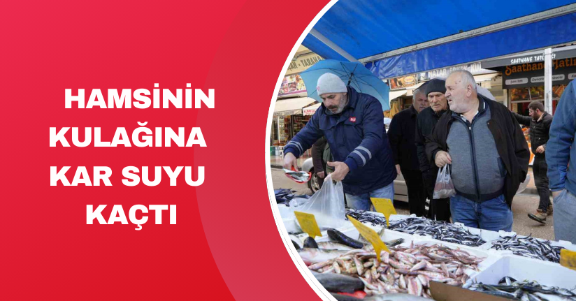 Hamsinin kulağına kar suyu kaçtı