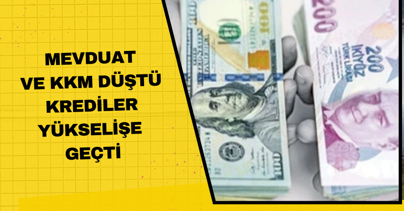 Mevduat ve KKM düştü! Krediler yükselişe geçti