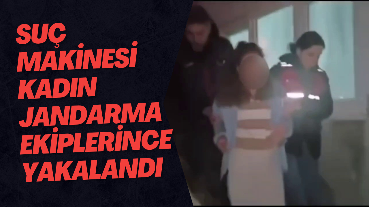 Suç Makinesi Kadın Jandarma Ekiplerince Yakalandı