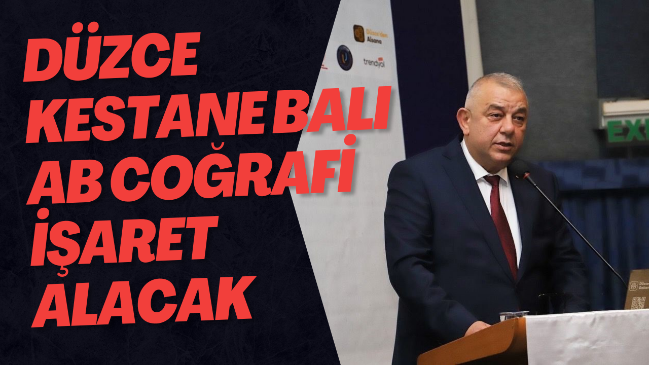 Düzce Kestane Balı AB Coğrafi İşaret Alacak