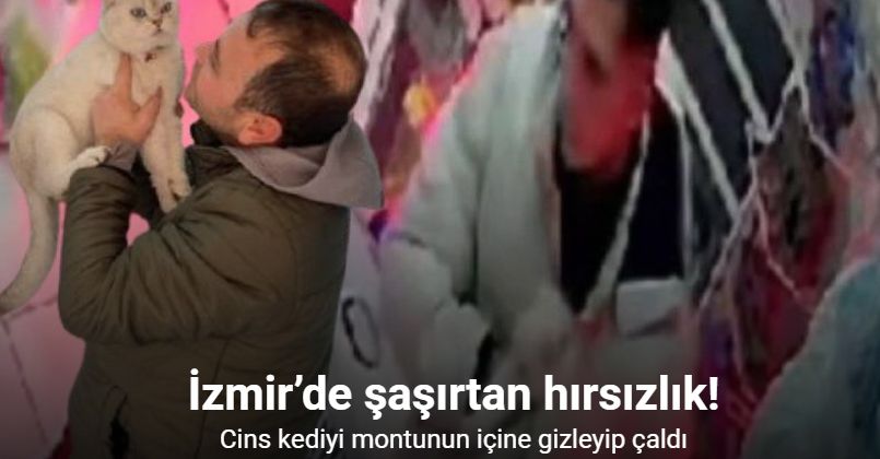 İzmir’de şaşırtan hırsızlık: Cins kediyi montunun içine gizleyip çaldı