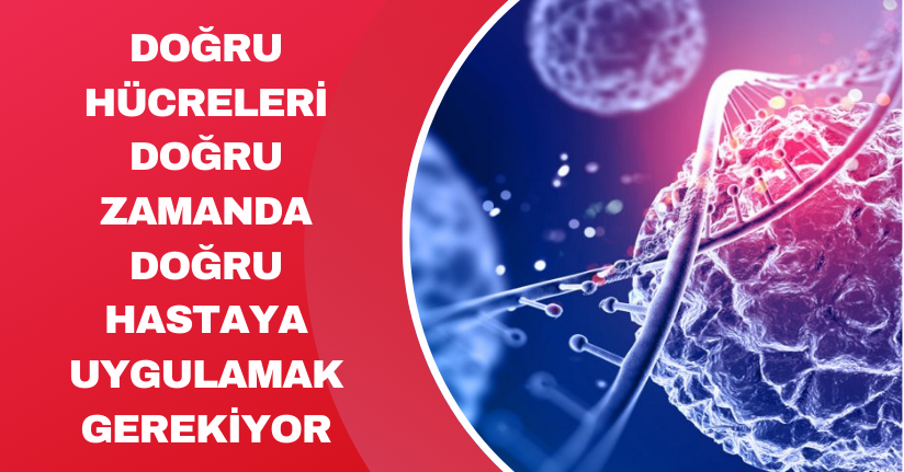 Doğru hücreleri, doğru zamanda doğru hastaya uygulamak gerekiyor