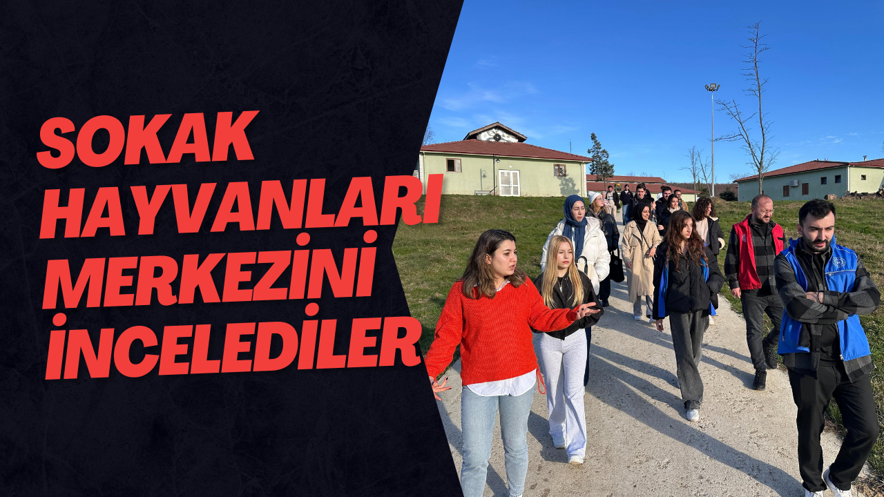 Sokak Hayvanları Merkezini İncelediler