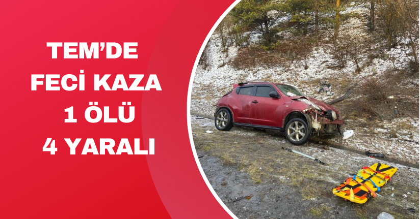 TEM’de feci kaza: 1 ölü, 4 yaralı