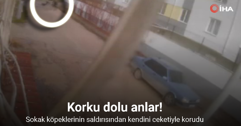 Sokak köpeklerinin saldırısından kendini ceketiyle korudu