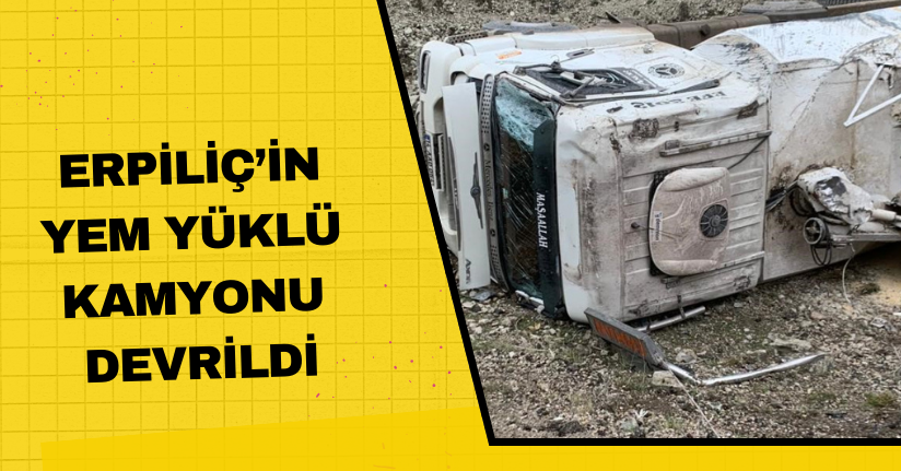 Erpiliç’in yem yüklü kamyonu devrildi: 1 yaralı