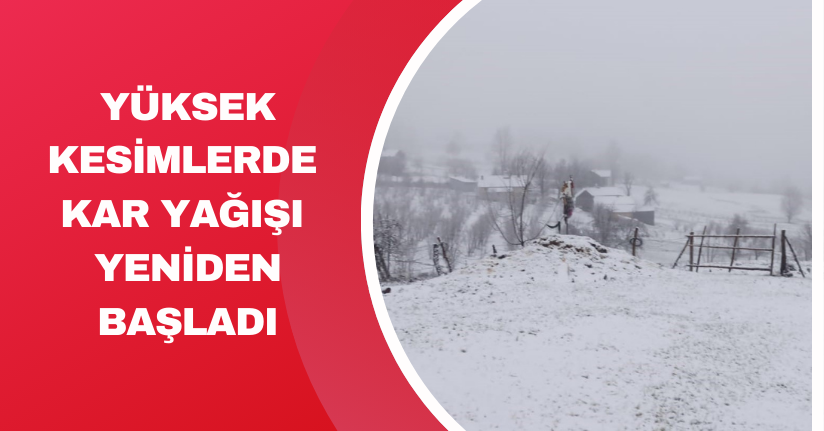 Yüksek kesimlerde kar yağışı yeniden başladı