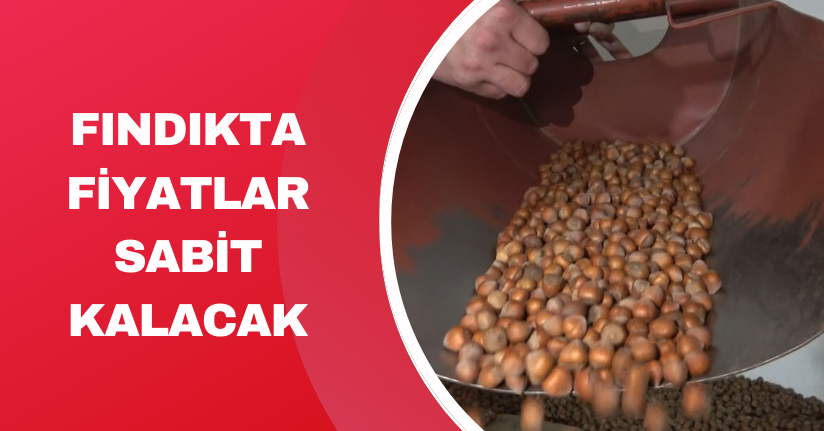 Fındıkta fiyatlar sabit kalacak